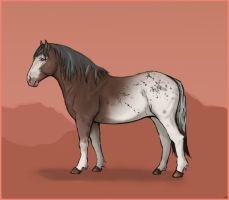 Noric