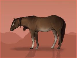 American Quarter Horse