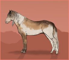 Grandorský mustang
